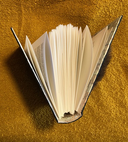 Top View of Accordian Folded Pages