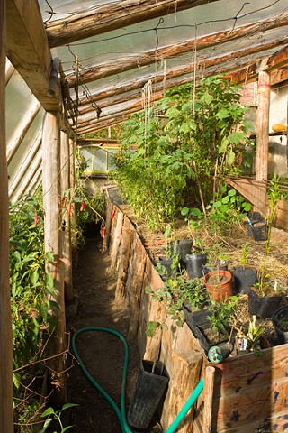 Inside Greenhouse