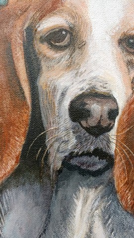 Penny the Basset Hound (Detail)