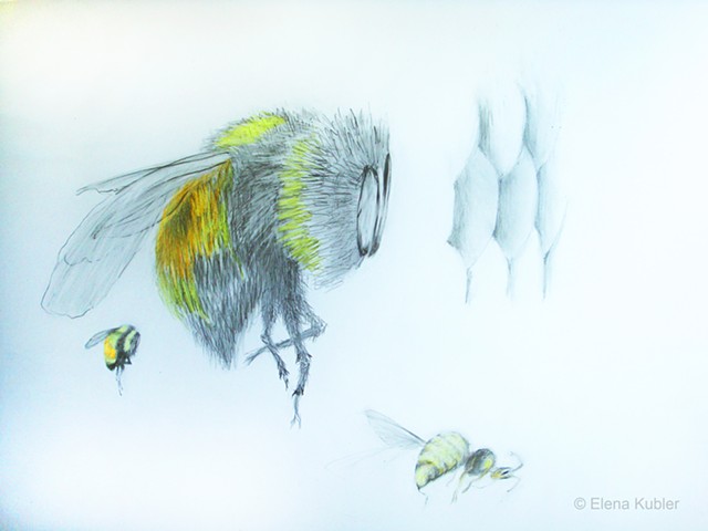 Study for "Pollination"