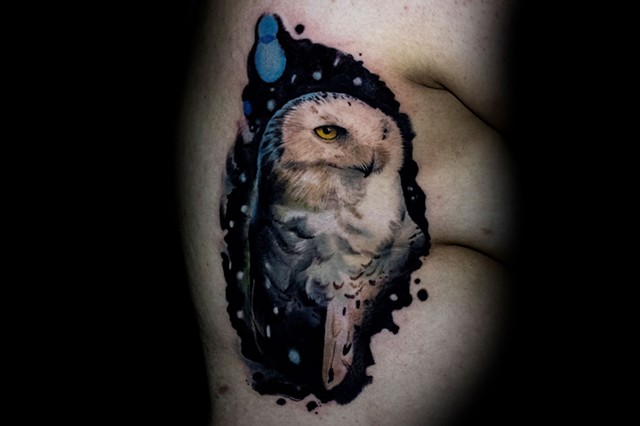 Love this snow owl really good start to a bigger project staytuned!!