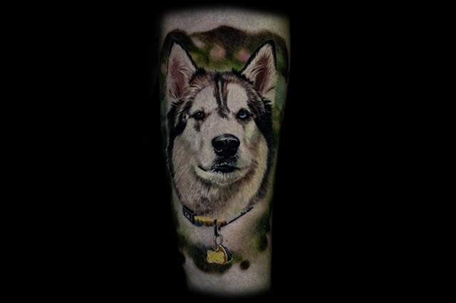 had such a good time with this Malamute pup super photogenic dog if you ask me such a pleasure to do dog portraits really some of my favorite tattoos
