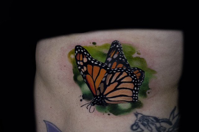 Monarch Butterfly 