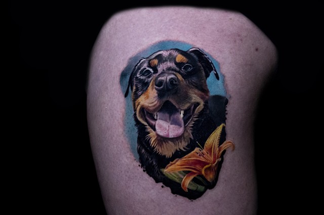 rottweiler dog by George Bardadim TattooNOW