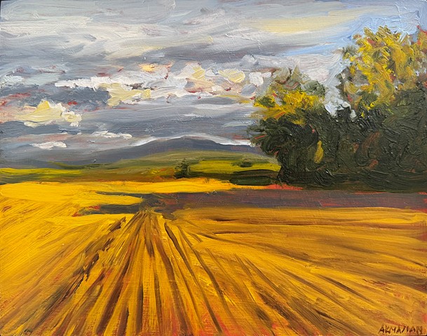 Yellow Field