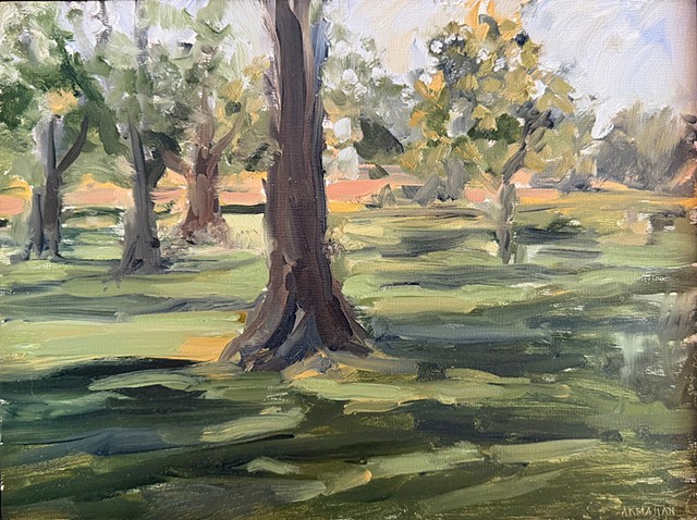 Morning Shadows