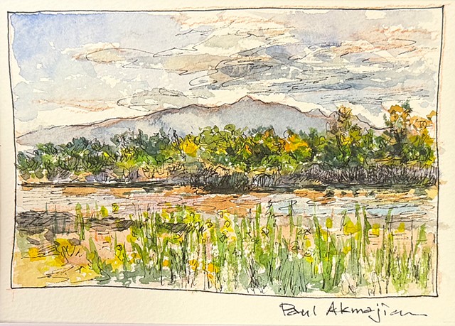 Willow Road Bosque