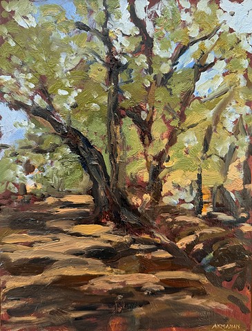 Acequia Shadows
