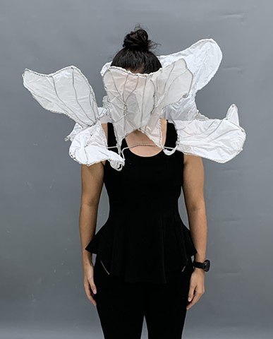 Luisa Morin