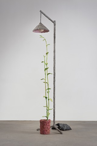 PLANTS AND LAMPS