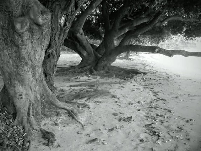 Near Ghost Beach Hawaii - Honokowai - 2019