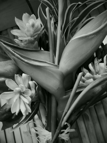 Tropical Flowers on Bamboo - Pukalani, Hawaii