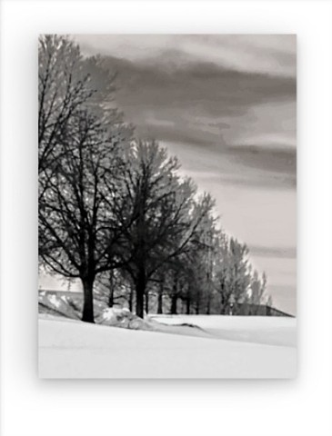 Tree-line Minnehaha County, SD