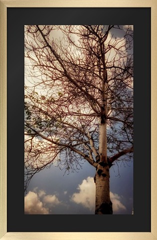 Sky of Midwest Summer
