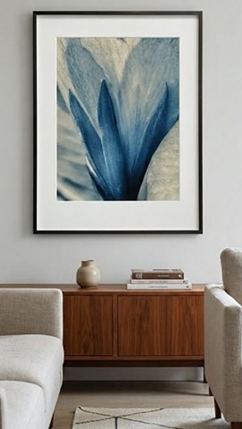 Calyx of a Lily (blue area supporting the peddles)