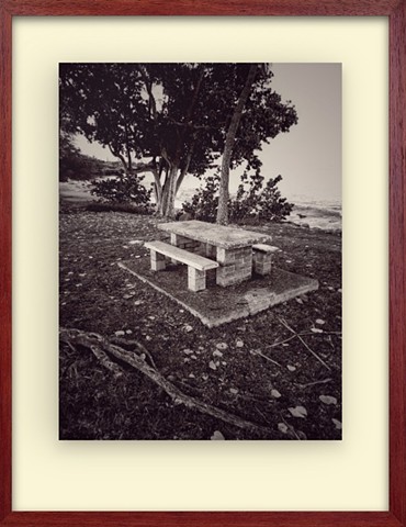 Hawaiian beach side picnic table - 2018