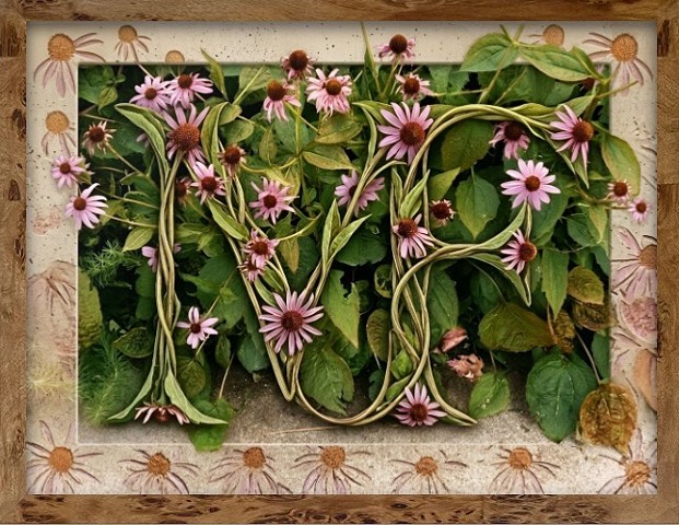French Horns of the Garden 
