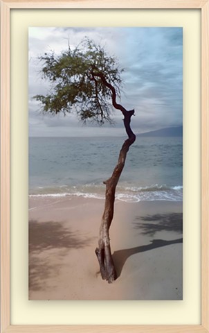 Wind salt sand of Survival - Honokowai - West Maui Hawaii 