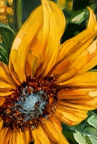 South Dakota sunflower 