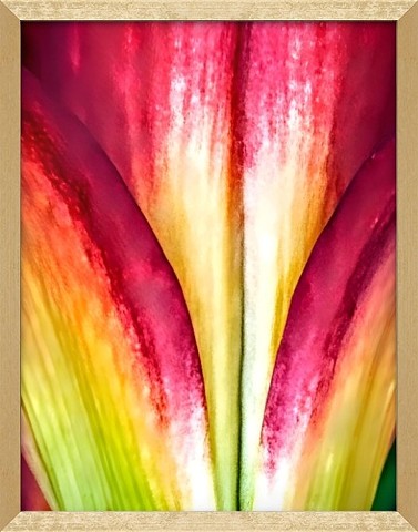 Honokawai Leaf Study - 2021 in frame