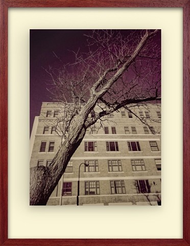 Blocking the View - 2024