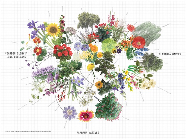 Philadelphia Flower Show Submission Iterations 