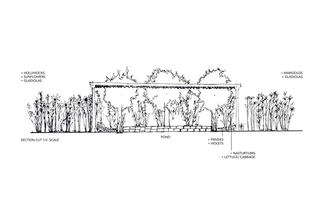 Gladiola Garden Scheme Section