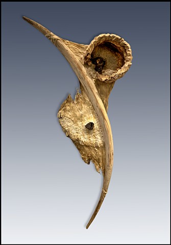 Vessel #58—Vestige