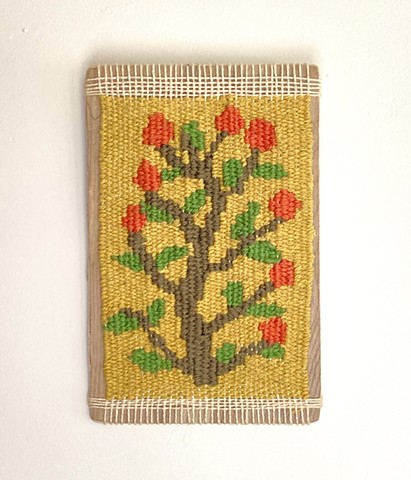 Postcard from the tropics