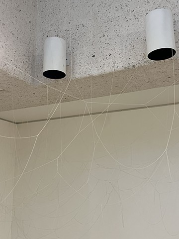 Spider Web (Detail)