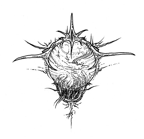 Ancient Orb