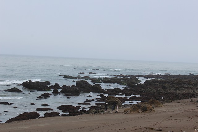 Coastal Images 