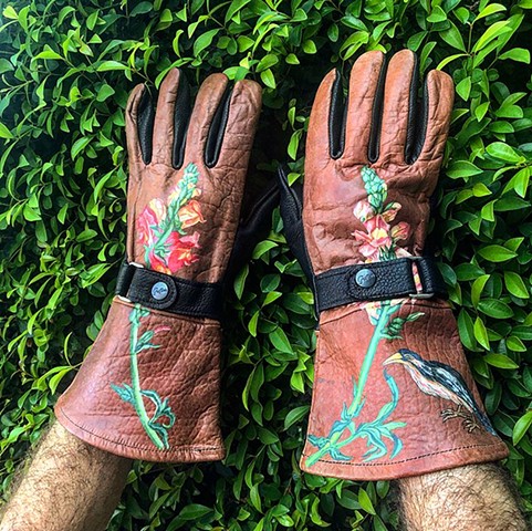 Deception & a Hummingbird gloves