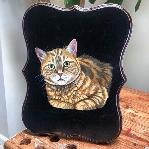 Pet portrait, Cat #1