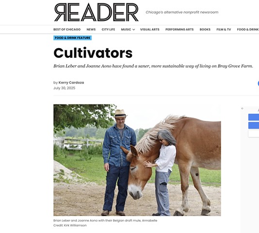 Chicago Reader Article 