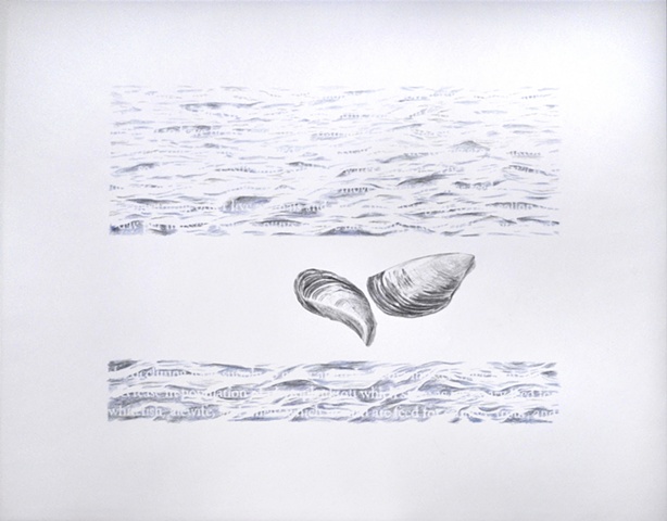 Joanne Aono Lake Michigan zebra mussel drawing