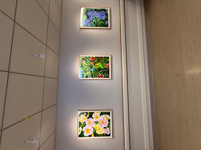 Bloom Series installed in Bay Area healthcare facility