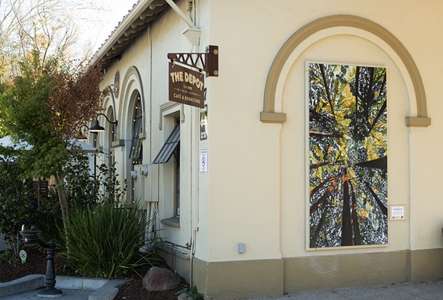 Outdoor Artwork on the side of the Mill Valley Depot Building