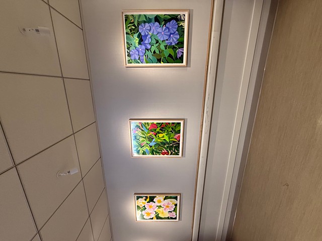 Bloom Series installed in Bay Area healthcare facility