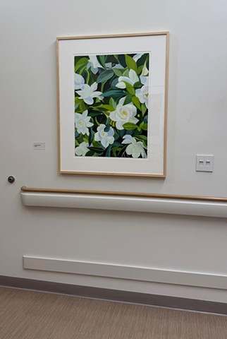Bloom Series installed in Bay Area healthcare facility