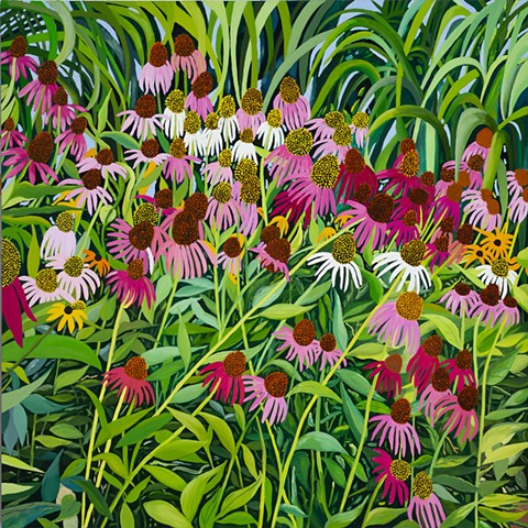 Coneflowers, Late July