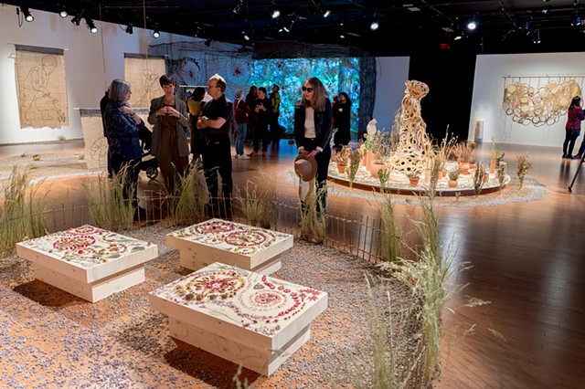 Les semences de nos lendemains | The seeds of Tomorrows