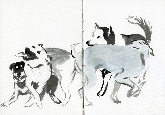 Dog Park (Sketchbook)