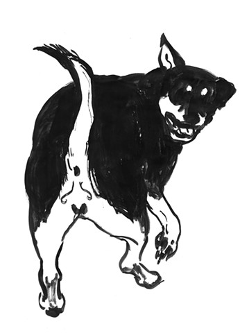 Ink Drawings