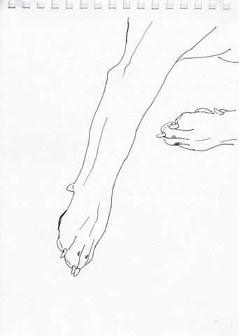Dog Feet#4