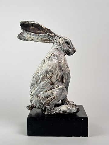 Hare