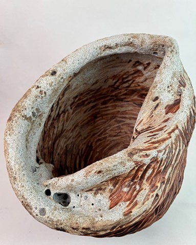 Hadley's Cell (arial view)