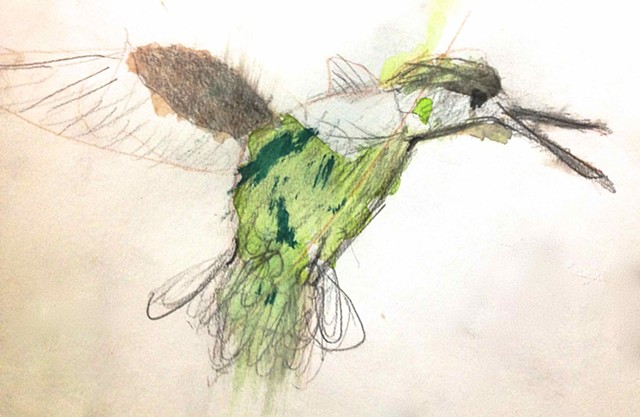 Drawing From Nature, Work done by children aged 7-9 years.
