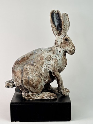 Studies of Rabbits and Hares