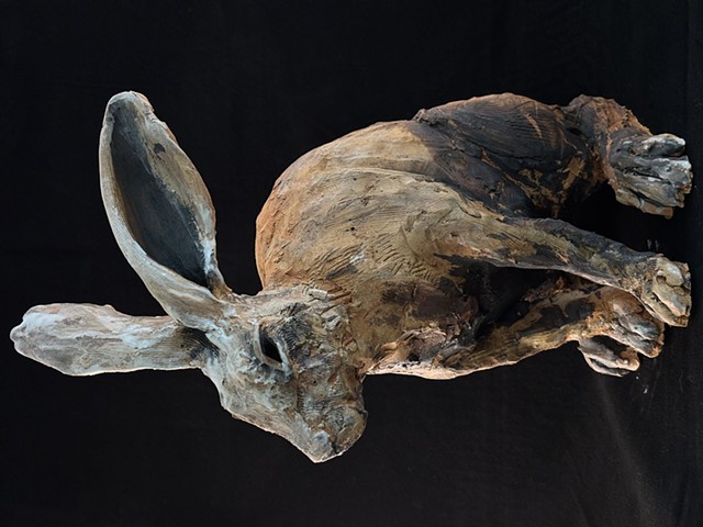 Hare